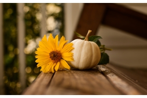 Our Top Seven Artificial Flowers That Are Perfect For This Autumn 