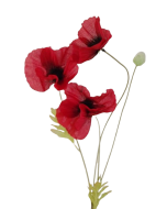 Poppy Spray x 3 Heads Red