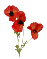 Poppy Spray x 3 Heads Orange