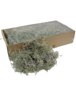Tillandsia Moss (Forest Moss) Bag Natural White x 200g