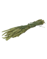 Dried Wheat Natural Bunch (Dutch)