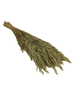 Dried Oats Natural Bunch