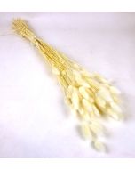 Lagarus/Bunny Tails Bleached Super White x 50g