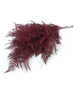 Preserved Bracken Fern Red x 10 Stems