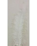 Ostrich Feathers White X 5