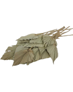 Palm Spear Natural x 20