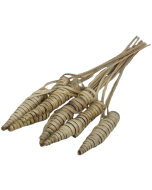 Cane Cone Natural X 25