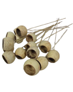 Bell Cup Medium x 15 Pcs