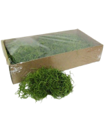 Tillandsia Moss (Forest Moss) Bag Apple Green 200g