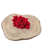 Reindeer Moss (Icelandic Moss) Red