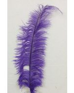 Ostrich Feathers D. Purple X 5