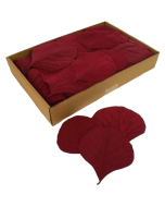 Cobra Leaves Red 100 Per Box