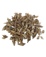 Shells - Chinna x 750g