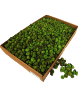 Putka Pods Light Green