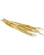 Sun Palm Leaves Bleached