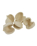 Buddha Nuts Bleached x 5pcs