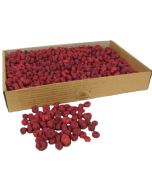 Putka Pods Red