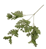 63cm Dusty Miller Spray Silver/Green