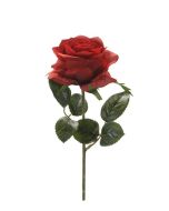 Rose Simone Red 45cm