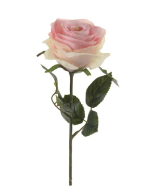 Rose Simone Lt Pink 45cm