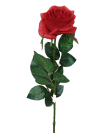 Rose Simone Red 73cm