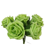 Foam Colourfast Cottage Rose x 6 Lime - DIS