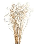 Palm Curly Ting Ting Natural x 100 Stems