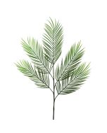 Areca Palm Branch 98cm