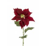 Velvet Poinsettia 75cm Red