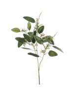 Eucalyptus Spray 60cm