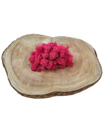 Reindeer Moss (Icelandic Moss) Fuchsia