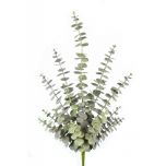 Spiral Eucalyptus Spray 70cm Green