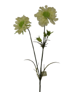 Scabiosa Spray-84cm Cream