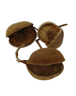 Buddha Nuts Natural x 8pcs