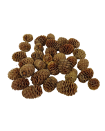 Leuc. Sabulosum Heads x 1kg