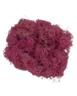 Curly Moss x 350g Orchid