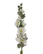 83cm Holly Hock White