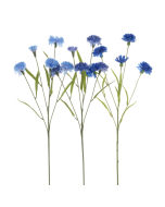 Cornflower Assorted Blue's