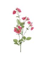 Isabella Wild Rose Spray 73cm Beauty