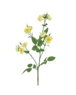 ECO Isabella Wild Rose Spray 73cm Lemon