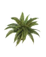 Boston Fern x 40 Leaves 48cm