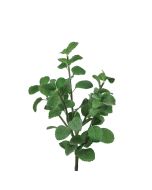 Mint Bush 39cm