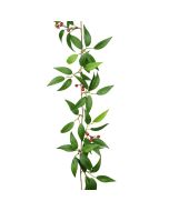 Smilax Garland w/Red Berries