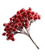 14cm Berry Bundle With Hip - WR