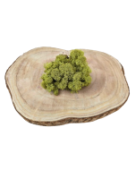 Reindeer Moss (Icelandic Moss) Kiwi