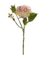 Rose Anne Spray Peach 37cm