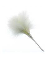 Fluffy Feathers - Cream (24cm Long  6pcs per pk)