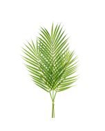 Areca Palm Bundle Green 78cm