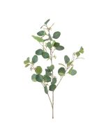 Eucalyptus Spray W/Berries Grey