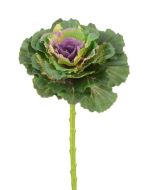 Ornamental Cabbage Spray 46cm Purple/Green
